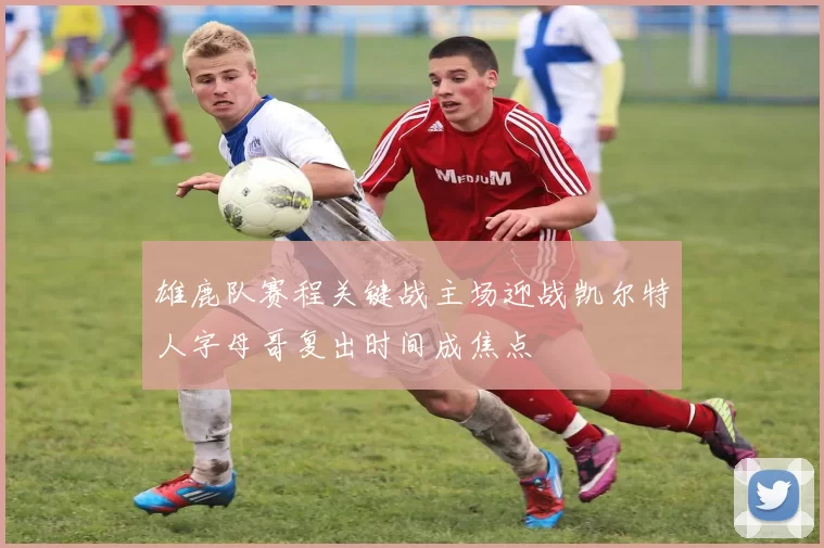 雄鹿队赛程关键战主场迎战凯尔特人字母哥复出时间成焦点